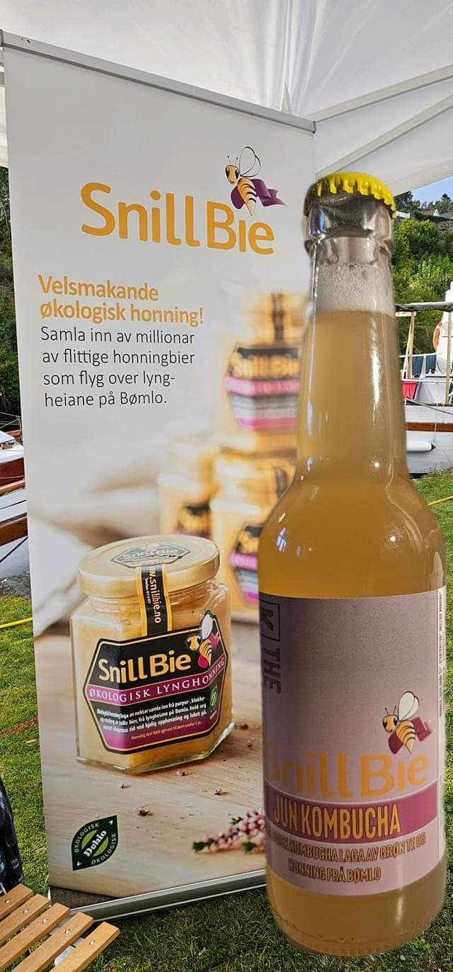 JUN KOMBUCHA! SnillBie Økologiske Honning Kombucha! NY!