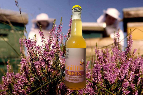 JUN KOMBUCHA! SnillBie Økologiske Honning Kombucha! NY!